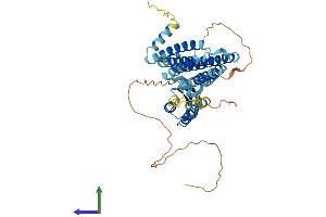 AlphaFold protein structure predicition of Human Recombinant SLC30A6 Protein, UniprotID Q6NXT4
