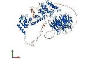 AlphaFold protein structure predicition of Human Recombinant KLHL4 Protein, UniprotID Q9C0H6