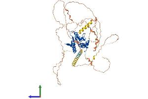 AlphaFold protein structure predicition of Mouse Recombinant N4bp2l2 Protein, UniprotID Q8JZS6