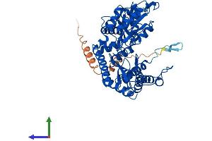 AlphaFold protein structure predicition of Mouse Recombinant Gadl1 Protein, UniprotID Q80WP8