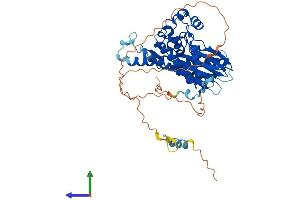 AlphaFold protein structure predicition of Human Recombinant TAB1 Protein, UniprotID Q15750