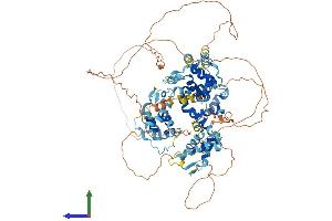 AlphaFold protein structure predicition of Mouse Recombinant Bend3 Protein, UniprotID Q6PAL0