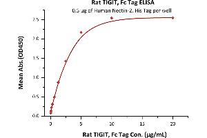 Immobilized Human Nectin-2, His Tag (ABIN4949132,ABIN4949133) at 5 μg/mL (100 μL/well) can bind Rat TIGIT, Fc Tag (ABIN4949212,ABIN4949213) with a linear range of 0.