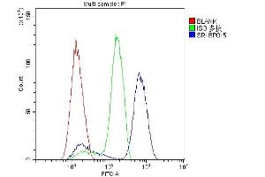 Flow Cytometry analysis of SiHa cells using anti-SRI antibody (ABIN6719388).