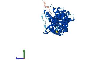 AlphaFold protein structure predicition of Mouse Recombinant Cab39l Protein, UniprotID Q9DB16