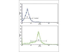Flow Cytometry (FACS) image for anti-Growth Differentiation Factor 6 (GDF6) antibody (ABIN3003243)