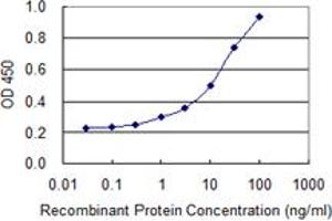 Detection limit for recombinant GST tagged HSPA2 is 0.