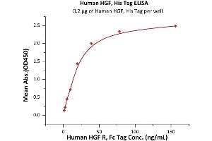 Immobilized Human HGF, His Tag at 2 μg/mL (100 μL/well) can bind Human HGF R, Fc Tag (ABIN2180661,ABIN2180662) with a linear range of 1-39 ng/mL (QC tested).