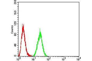 Flow cytometric analysis of HeLa cells using AOF1 mouse mAb (green) and negative control (red). (KDM1B anticorps  (AA 6-129))