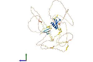 AlphaFold protein structure predicition of Human Recombinant CBX4 Protein, UniprotID O00257
