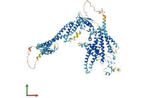 AlphaFold protein structure predicition of Human Recombinant ATP6V0A2 Protein, UniprotID Q9Y487