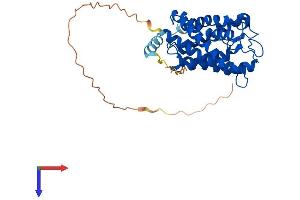 AlphaFold protein structure predicition of Human Recombinant AQP7 Protein, UniprotID O14520