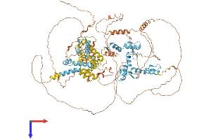 AlphaFold protein structure predicition of Human Recombinant ZKSCAN2 Protein, UniprotID Q63HK3