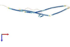 AlphaFold protein structure predicition of Mouse Recombinant Tnip2 Protein, UniprotID Q99JG7