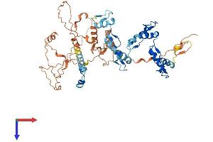 AlphaFold protein structure predicition of Human Recombinant ZNF554 Protein, UniprotID Q86TJ5