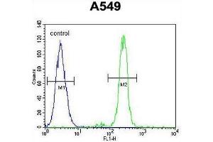 CEP70 Antibody (Center) flow cytometric analysis of A549 cells (right histogram) compared to a negative control cell (left histogram). (CEP70 anticorps  (Middle Region))