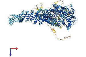 AlphaFold protein structure predicition of Human Recombinant FANCI Protein, UniprotID Q9NVI1