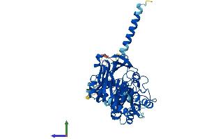 AlphaFold protein structure predicition of Mouse Recombinant Fktn Protein, UniprotID Q8R507