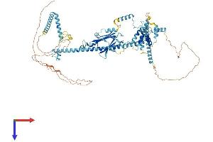 AlphaFold protein structure predicition of Human Recombinant CACTIN Protein, UniprotID Q8WUQ7