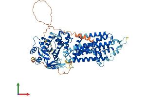 AlphaFold protein structure predicition of Mouse Recombinant Abcg1 Protein, UniprotID Q64343