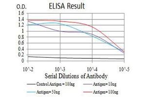 Black line: Control Antigen (100 ng),Purple line: Antigen (10 ng), Blue line: Antigen (50 ng), Red line:Antigen (100 ng) (ATG3 anticorps  (AA 1-100))