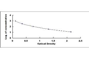 Rabbit Capture antibody from the kit in ELISA with Positive Control: Serum.
