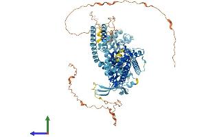 AlphaFold protein structure predicition of Mouse Recombinant Trpv1 Protein, UniprotID Q704Y3