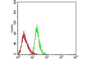 Flow cytometric analysis of Jurkat cells using CD267 mouse mAb (green) and negative control (red).