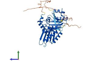 AlphaFold protein structure predicition of Human Recombinant RRAGB Protein, UniprotID Q5VZM2