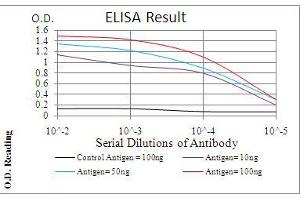 Black line: Control Antigen (100 ng), Purple line: Antigen(10 ng), Blue line: Antigen (50 ng), Red line: Antigen (100 ng),
