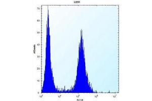 Flow cytometric analysis of U251 cells using ID1 / BHLHB24 Antibody (Center) Cat.
