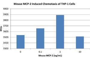 SDS-PAGE of Mouse Monocyte Chemotactic Protein-2 (CCL8) Recombinant Protein Bioactivity of Mouse Monocyte Chemotactic Protein-2 (CCL8) Recombinant Protein. (CCL8 Protéine)