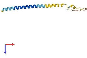 AlphaFold protein structure predicition of Human Recombinant LST1 Protein, UniprotID O00453