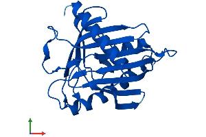 AlphaFold protein structure predicition of Human Recombinant STARD5 Protein, UniprotID Q9NSY2