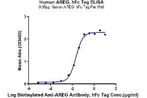 Immobilized Human AREG, hFc Tag at 0. (Amphiregulin Protein (AREG) (AA 101-187) (Fc Tag))