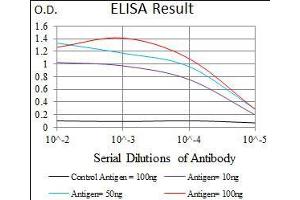 Black line: Control Antigen (100 ng), Purple line: Antigen(10 ng), Blue line: Antigen (50 ng), Red line: Antigen (100 ng),