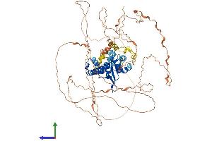 AlphaFold protein structure predicition of Human Recombinant MAGED1 Protein, UniprotID Q9Y5V3