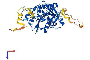 AlphaFold protein structure predicition of Mouse Recombinant Abhd17c Protein, UniprotID Q8VCV1