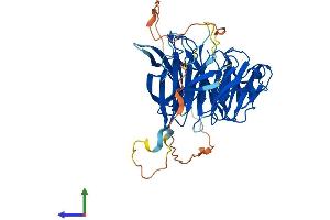 AlphaFold protein structure predicition of Human Recombinant DPH7 Protein, UniprotID Q9BTV6