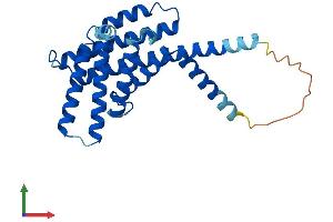 AlphaFold protein structure predicition of Mouse Recombinant Pex11b Protein, UniprotID Q9Z210
