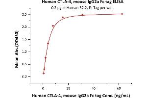 Immobilized Human B7-2, Fc Tag (ABIN2180621,ABIN2180620) at 2 μg/mL (100 μL/well) can bind Human CTLA-4, mouse IgG2a Fc tag, low endotoxin (ABIN4949091,ABIN4949092) with a linear range of 0.