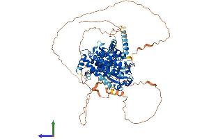 AlphaFold protein structure predicition of Mouse Recombinant Ptpdc1 Protein, UniprotID Q6NZK8