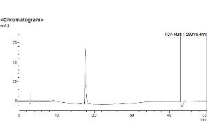 High Pressure Liquid Chromatography (HPLC) image for Human Serum Albumin (HSA) protein (ABIN7539880)