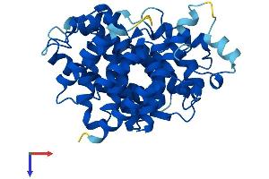 AlphaFold protein structure predicition of Mouse Recombinant Adprhl1 Protein, UniprotID Q8BGK2