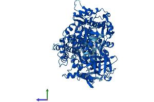 AlphaFold protein structure predicition of Human Recombinant ACO1 Protein, UniprotID P21399