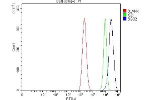 Flow Cytometry analysis of CACO-2 cells using anti-SGO2 antibody (ABIN7602258). (SGOL2 anticorps  (AA 660-1011))