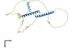 AlphaFold protein structure predicition of Mouse Recombinant Ascl2 Protein, UniprotID O35885