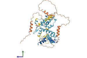 AlphaFold protein structure predicition of Human Recombinant ZNF75CP Protein, UniprotID Q92670