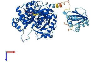 AlphaFold protein structure predicition of Mouse Recombinant Scp2 Protein, UniprotID P32020