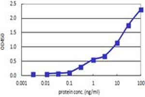 Sandwich ELISA detection sensitivity ranging from 0. (PHKG2 (Humain) Matched Antibody Pair)